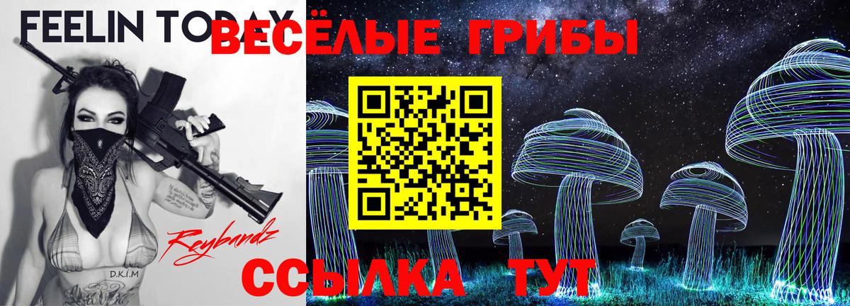 Псилоцибиновые грибы Magic Shrooms  Вход с VPN  Краснодар 