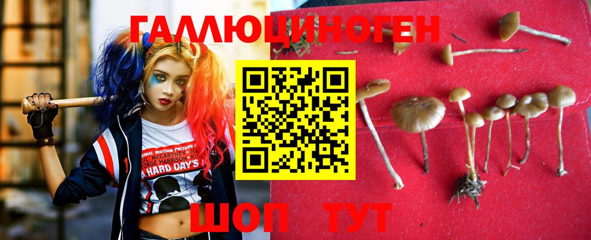 Псилоцибиновые грибы Magic Shrooms Краснодар